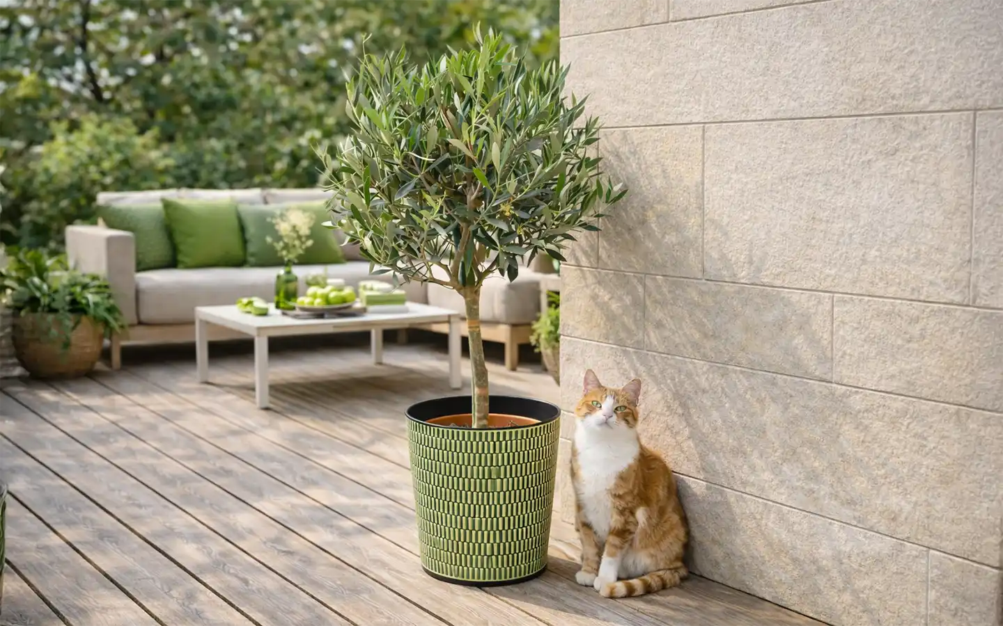 thuja 150 cm preis Abendländischer Lebensbaum Thuja occidentalis Brabant 125-150 cm Höhe main image 1