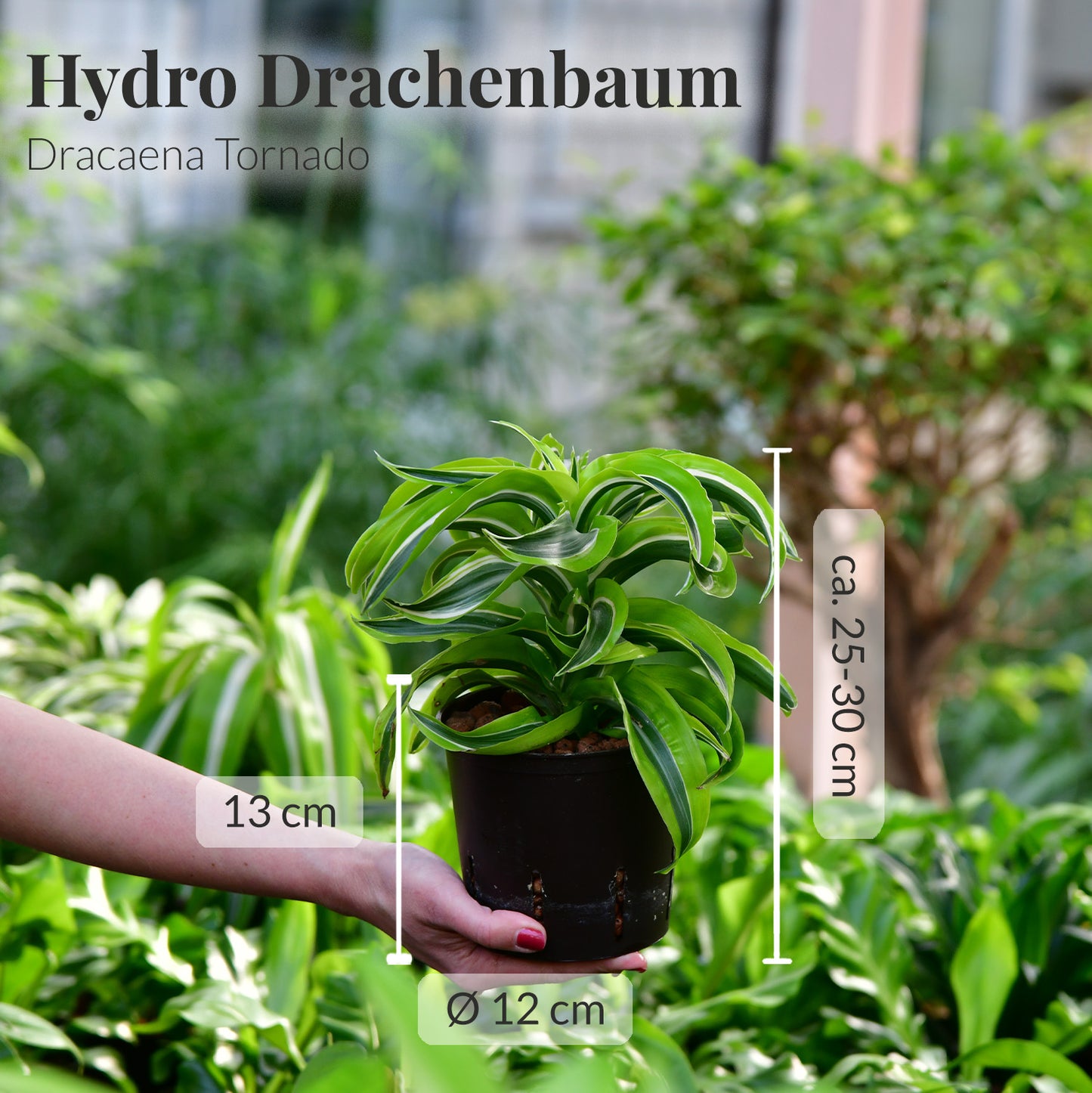 Hydro Green Tornado