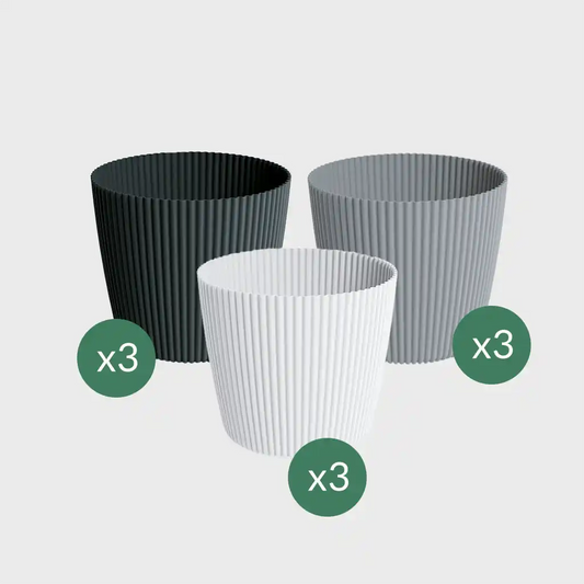3er Set Milly 11cm