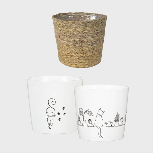 3er Übertopfset 3S Catwalk & Catview