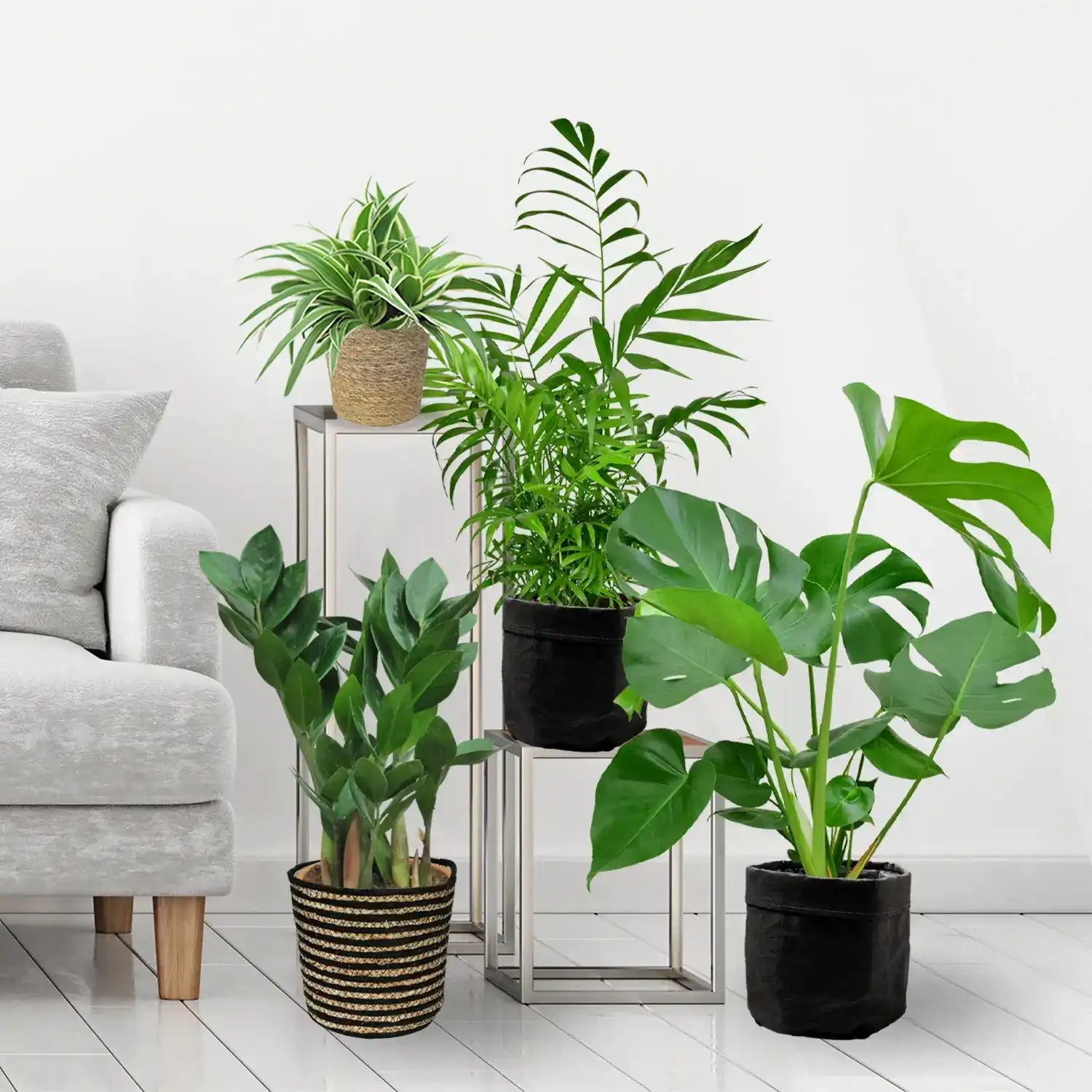 4er Box Einfach & Unkompliziert – Green Me Up