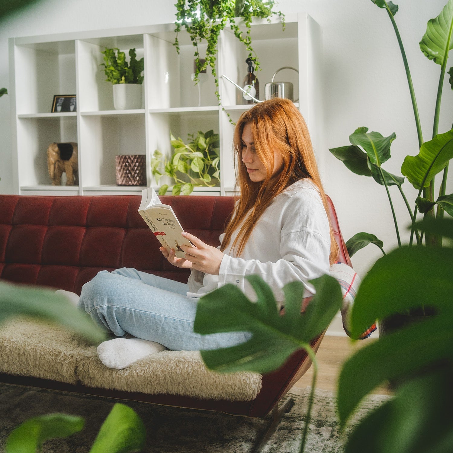 Frau-Buch-Sofa-Regal-Pflanzen
