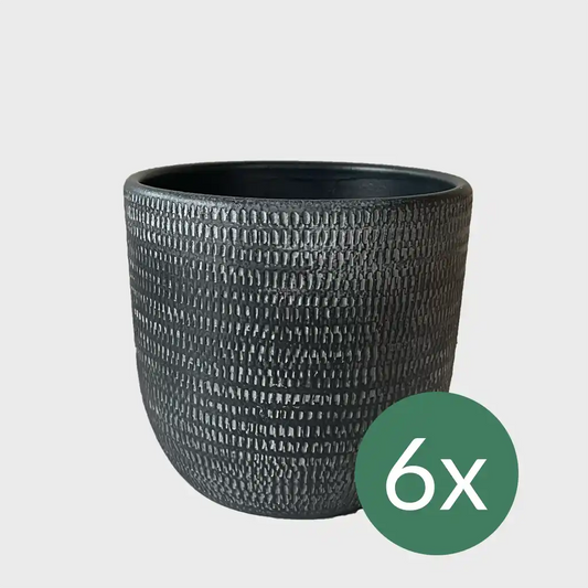 6er Übertopfset 6XL Magna 26cm Anthrazit