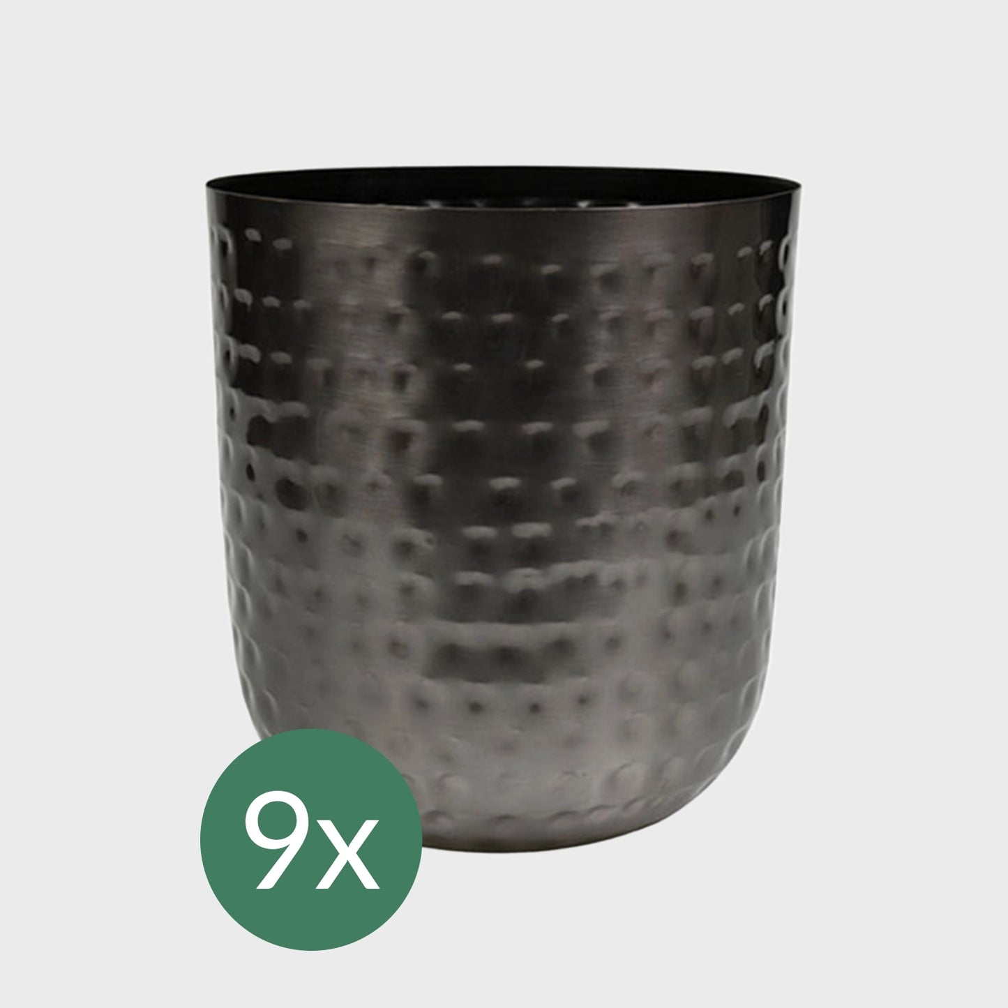9er Set 3XXL 6XL Büropflanzen für wenig Licht in Metalltöpfen