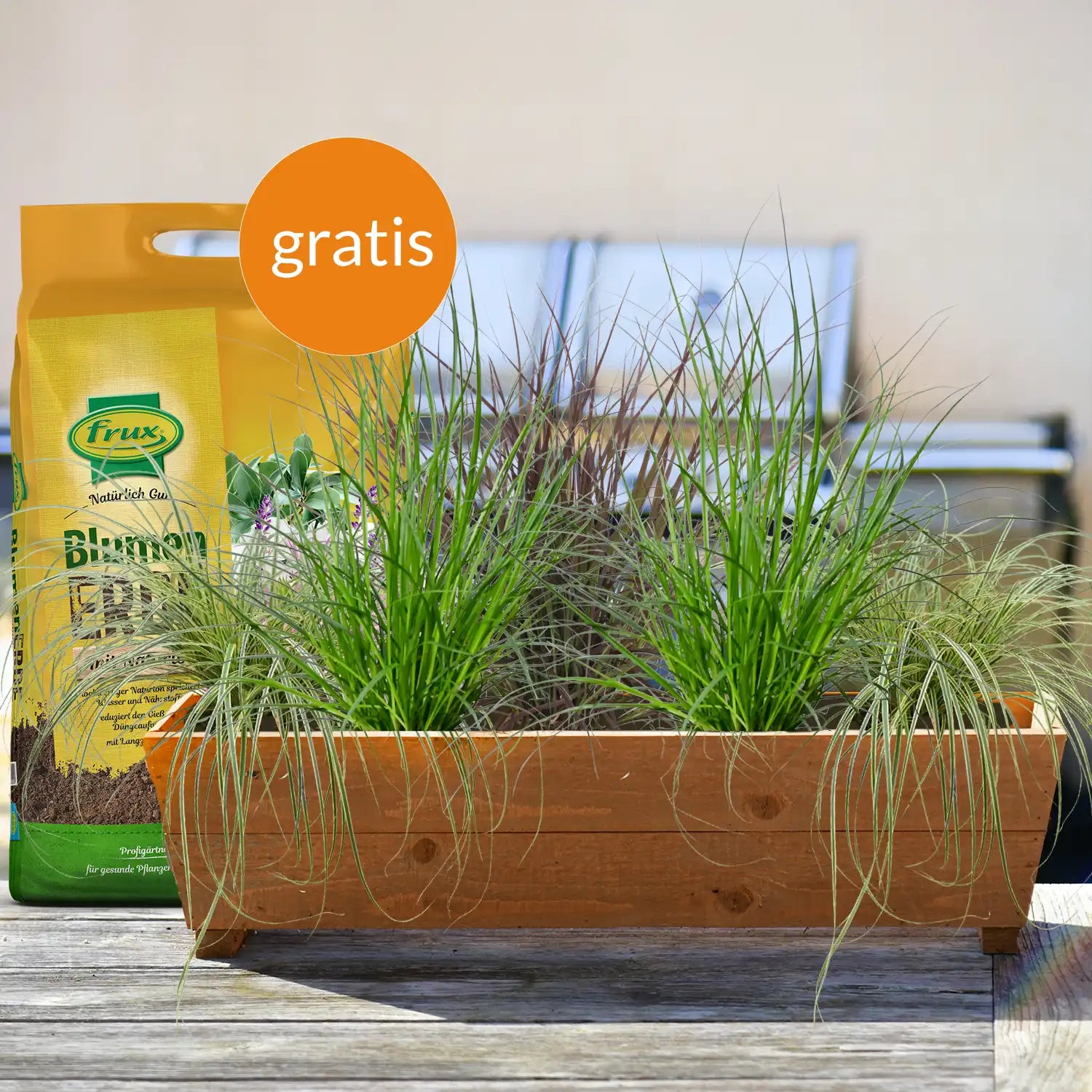 Balkonkasten Set Sommer Gräser – Green Me Up