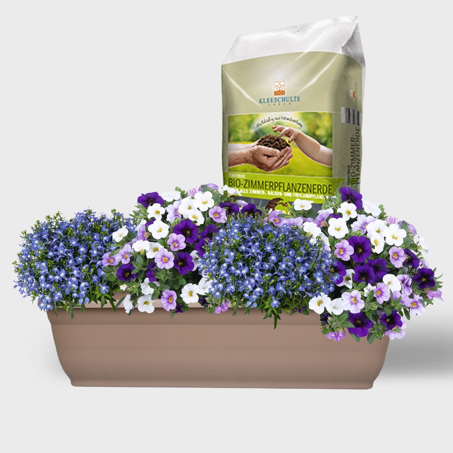Balkonkasten Set Marine Sommerblumen Look