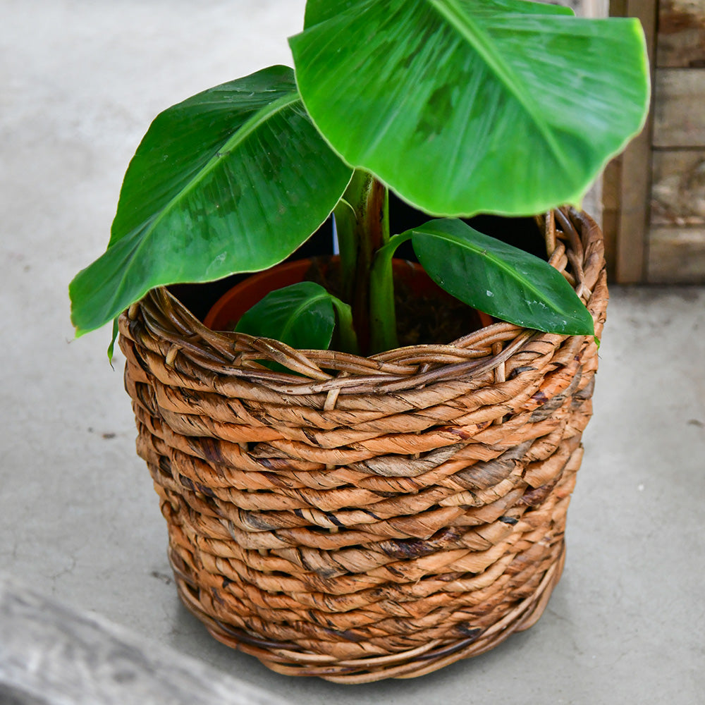 Pflanzkorb Bananenblatt 35cm