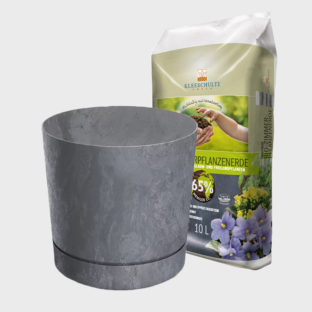 Blumentopf Modern 30cm mit Erde