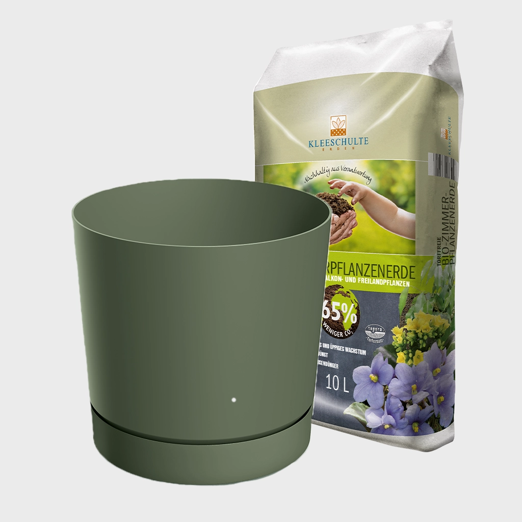 Blumentopf Modern 30cm mit Erde