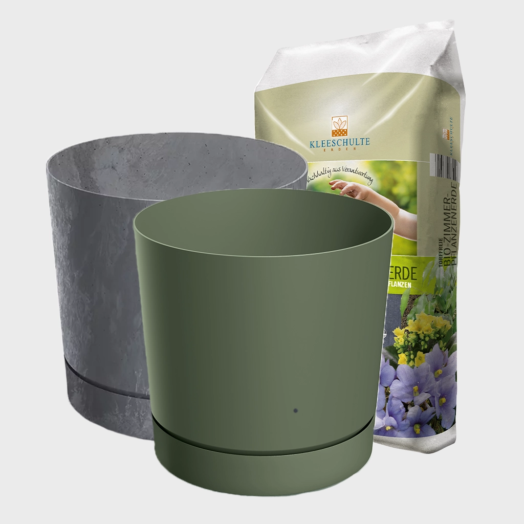 Blumentopf Modern 30cm mit Erde