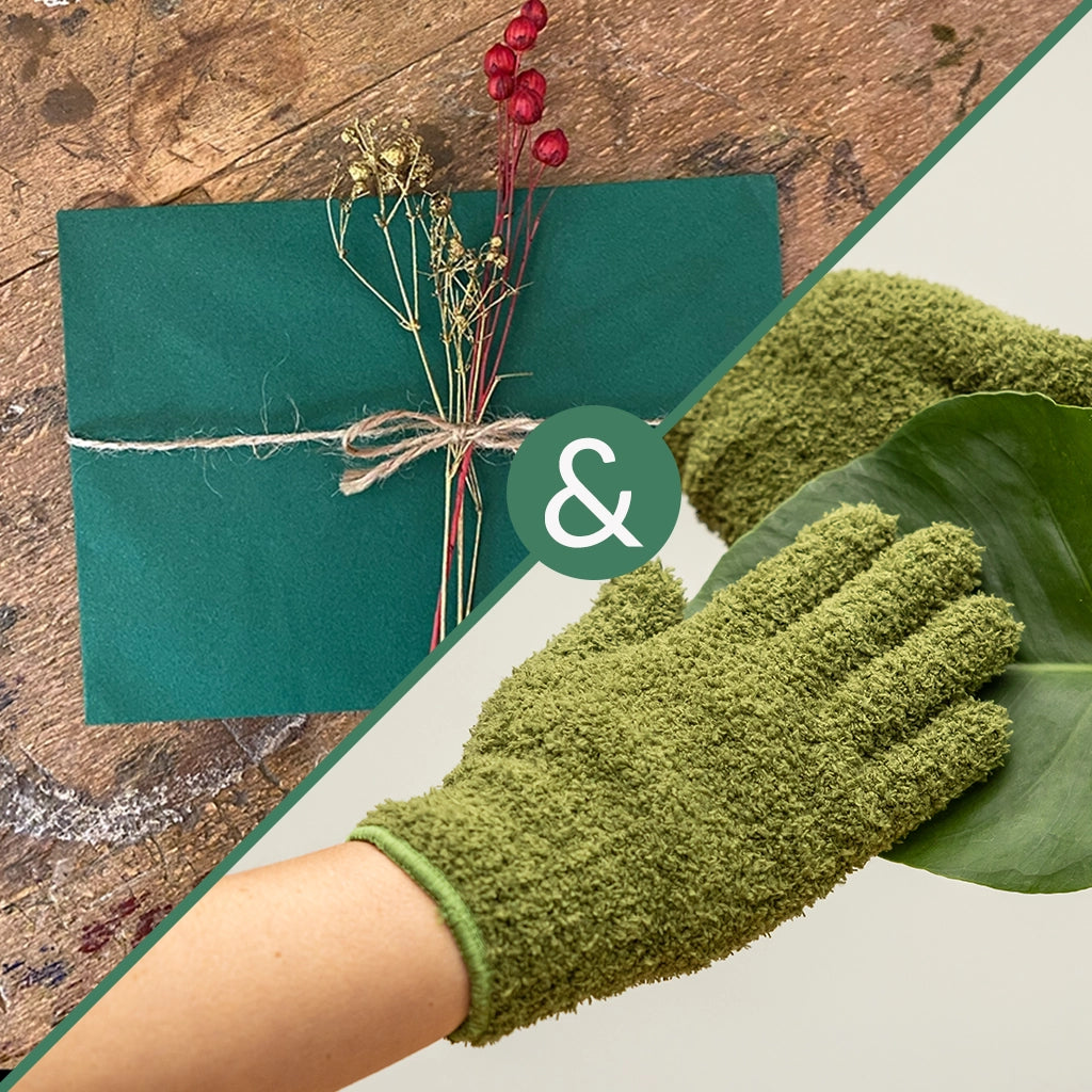 Geschenkverpackung für Gutscheine und Staubhandschuhe