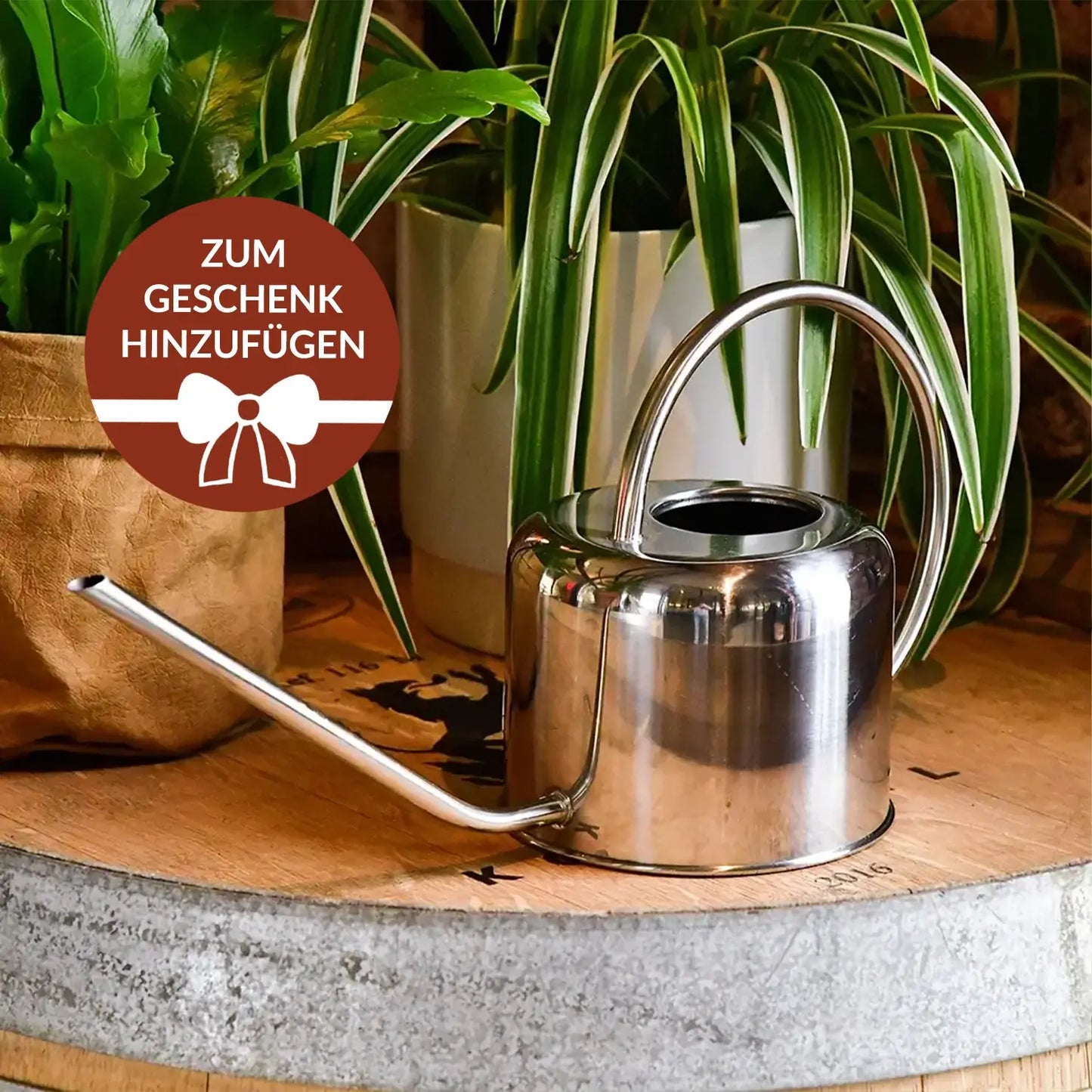 Geschenkset Goldfruchtpalme für Männer