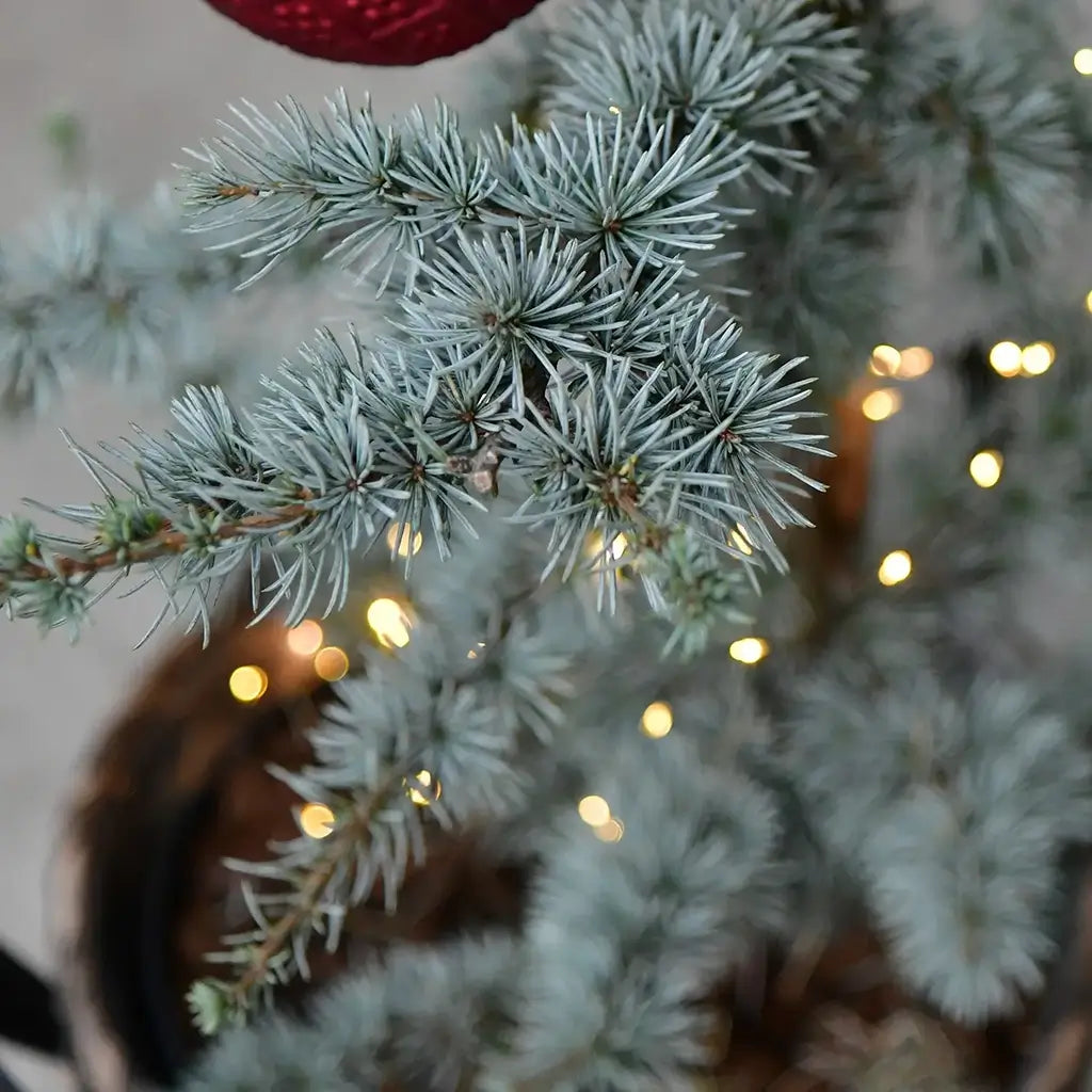 Metalltopf Marmoroptik Grün 27cm mit Lichterkette 100LED