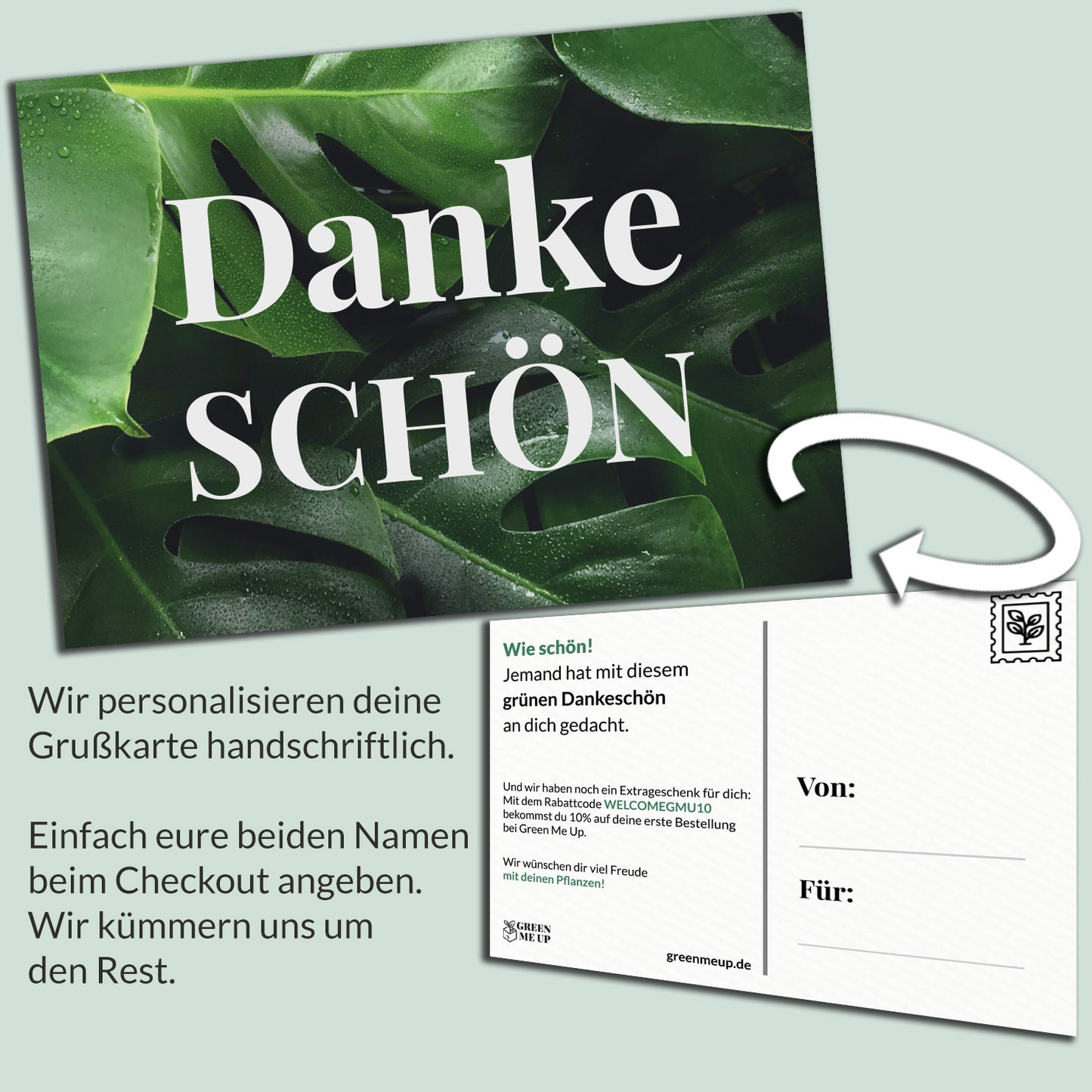 Geschenkset Krokodilfarn