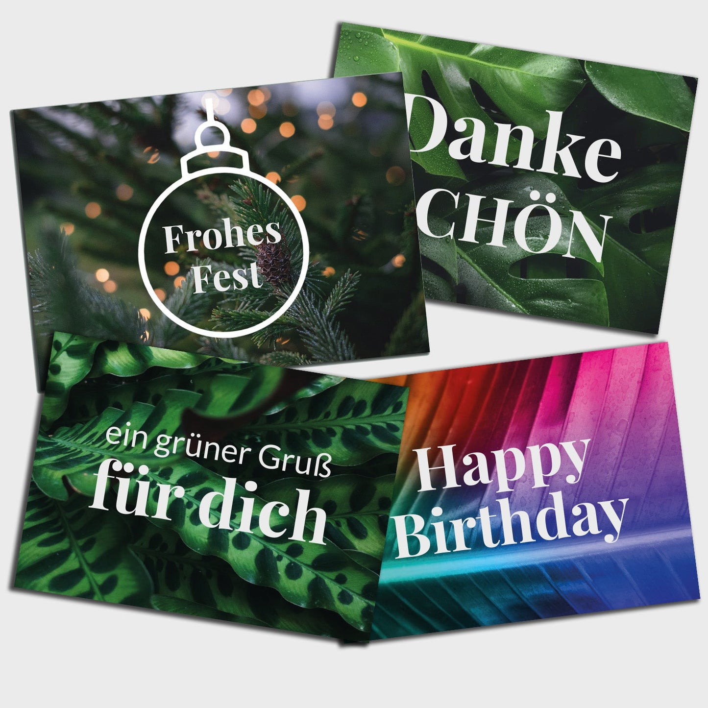 Geschenkset Calathea