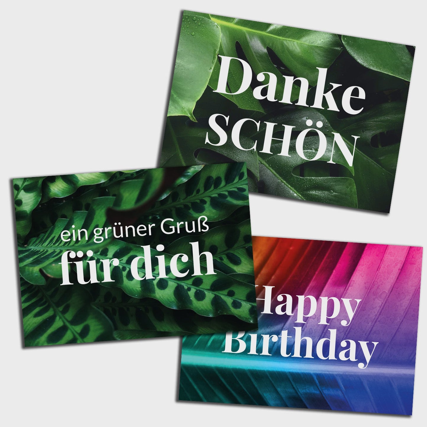 Geschenkset Krokodilfarn