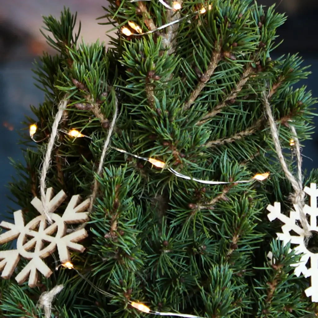 Seegraskorb Natur mit Weißem Rand 21cm mit Lichterkette 40LED