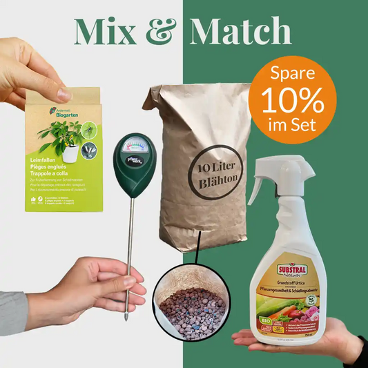 Mix & Match Pflanzen-Pflegeset Herbst