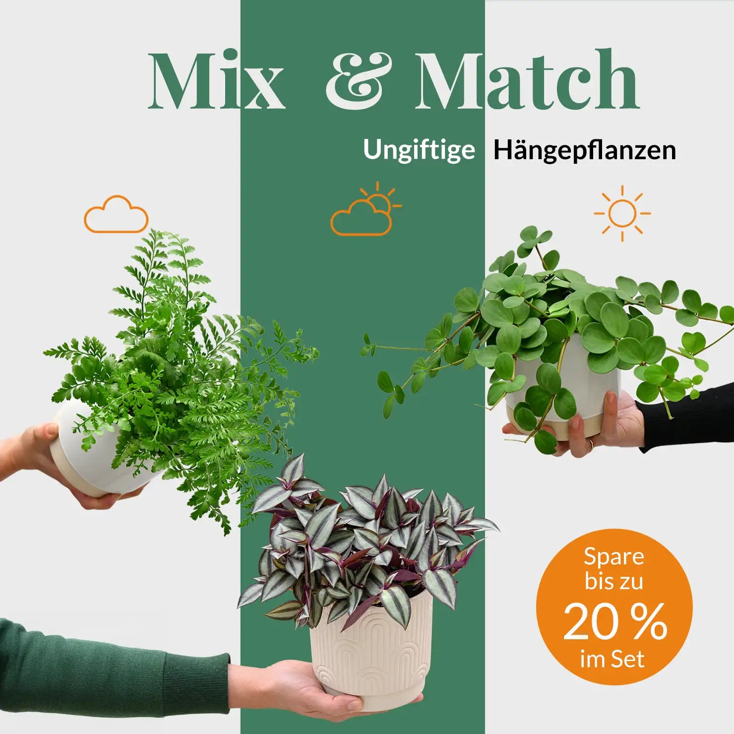 Ungiftige Hängepflanzen mixen – Green Me Up