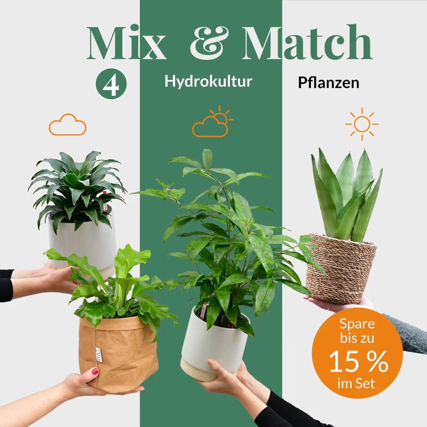 Mix & Match 4er Box Hydro Schreibtisch Pflanzen – Green Me Up