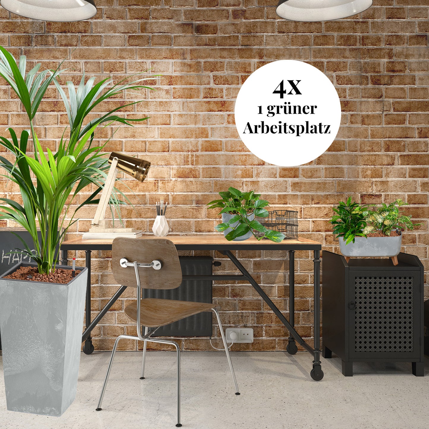 PALETTENSET Palmenfeeling in Betonoptik - Hydrokultur Büropflanzen