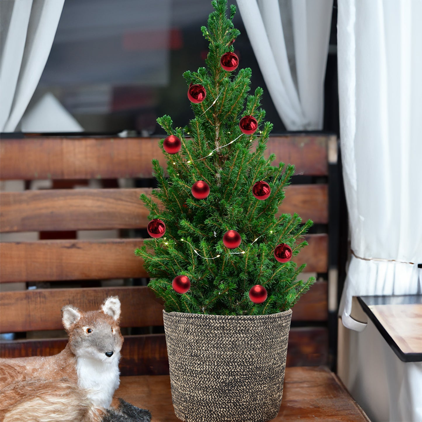Geschenkset Pop Up Weihnachtsbaum