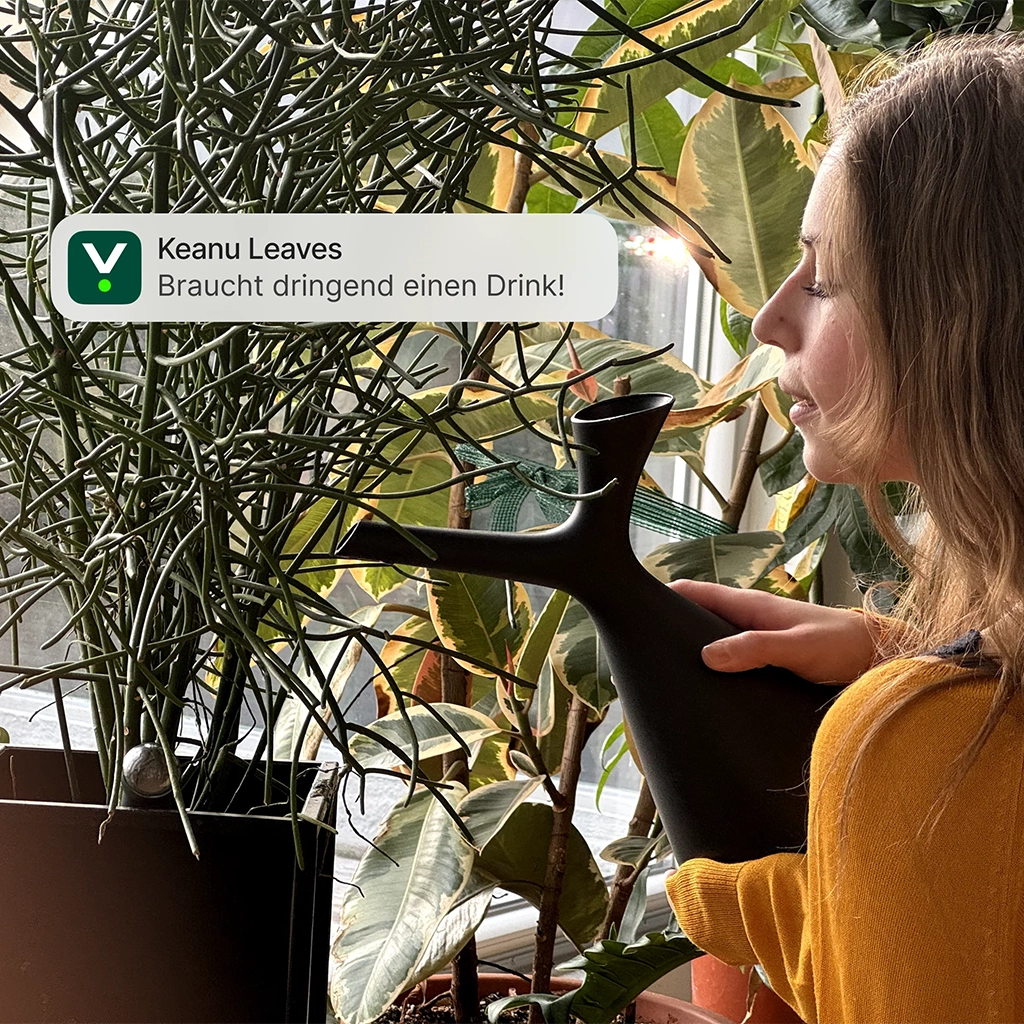 Frau gieß Pflanze und bekommt die Info der FYTA App