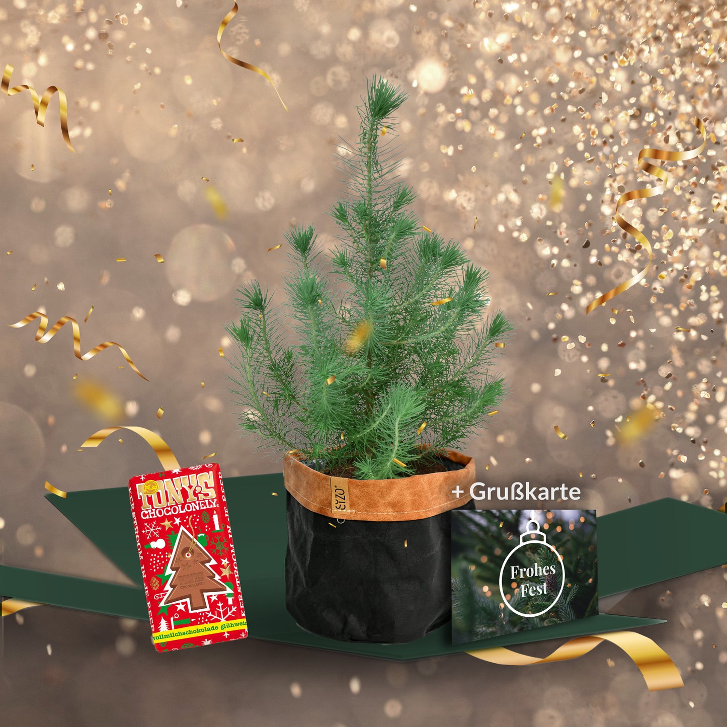 Geschenkset Zimmer Pinie im Sizo Bag