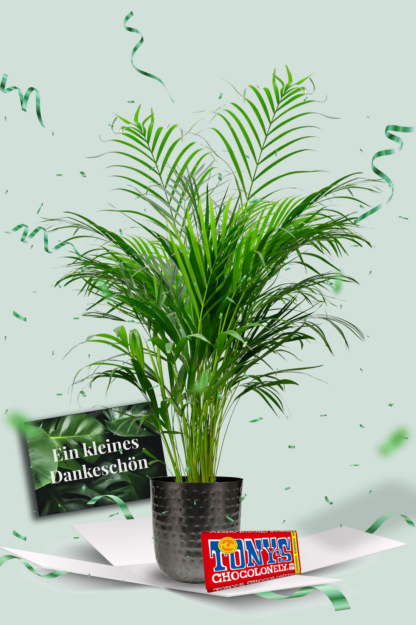 Geschenkset Große Goldfruchtpalme