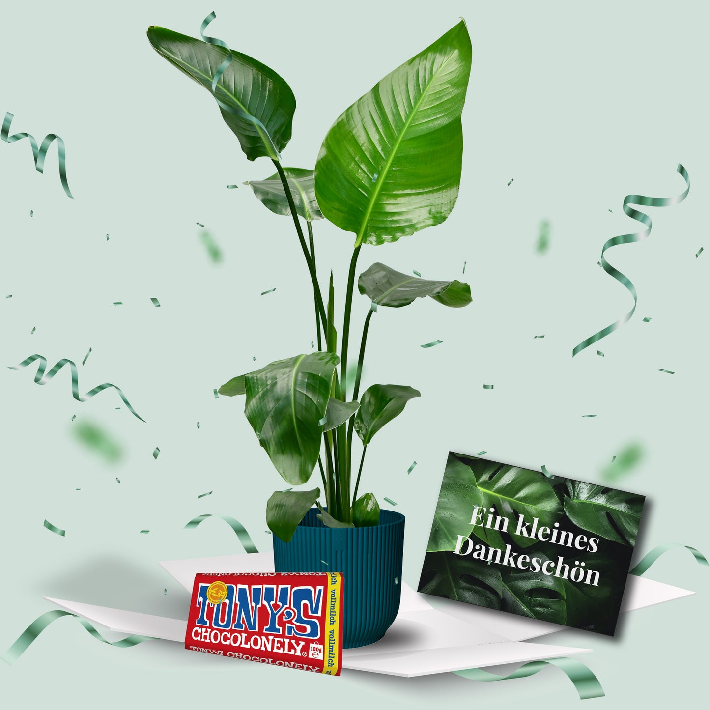 Geschenkset Strelitzie