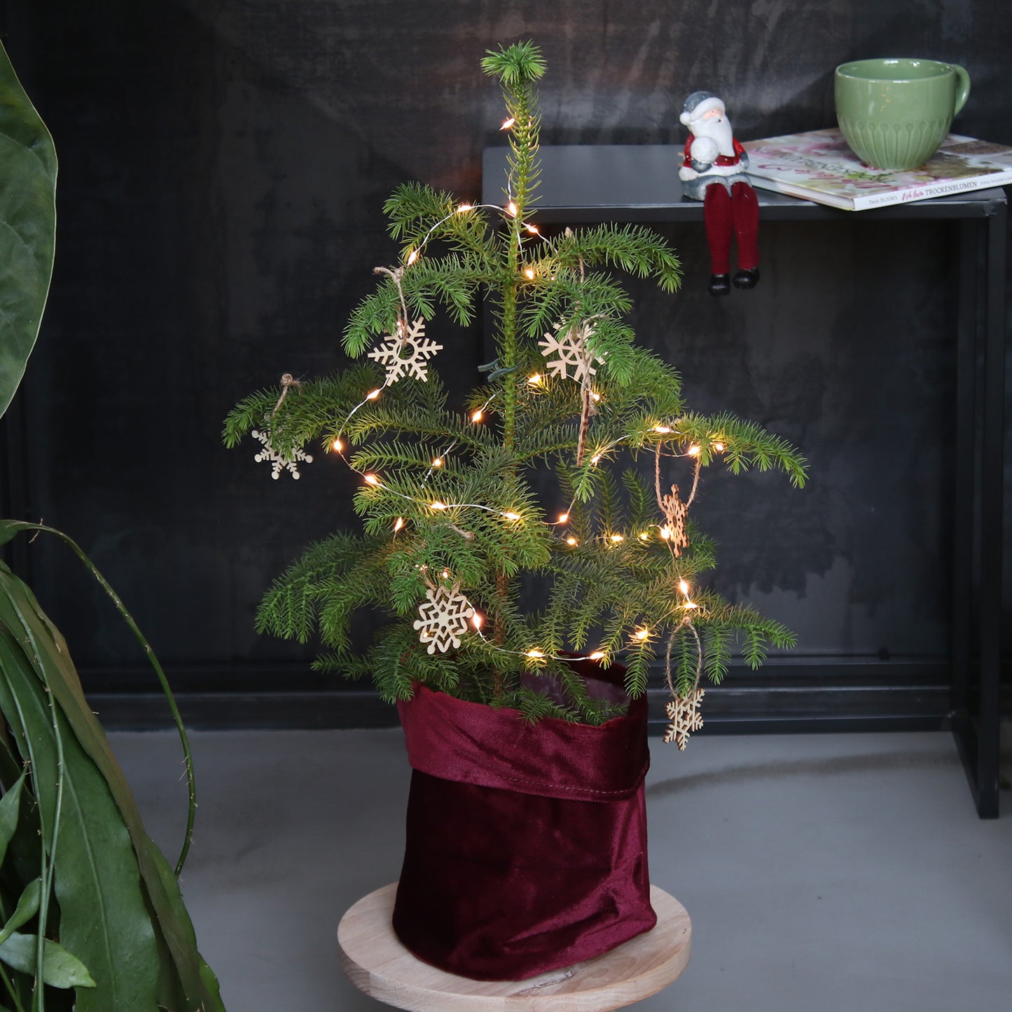 Geschenkset Zimmertanne