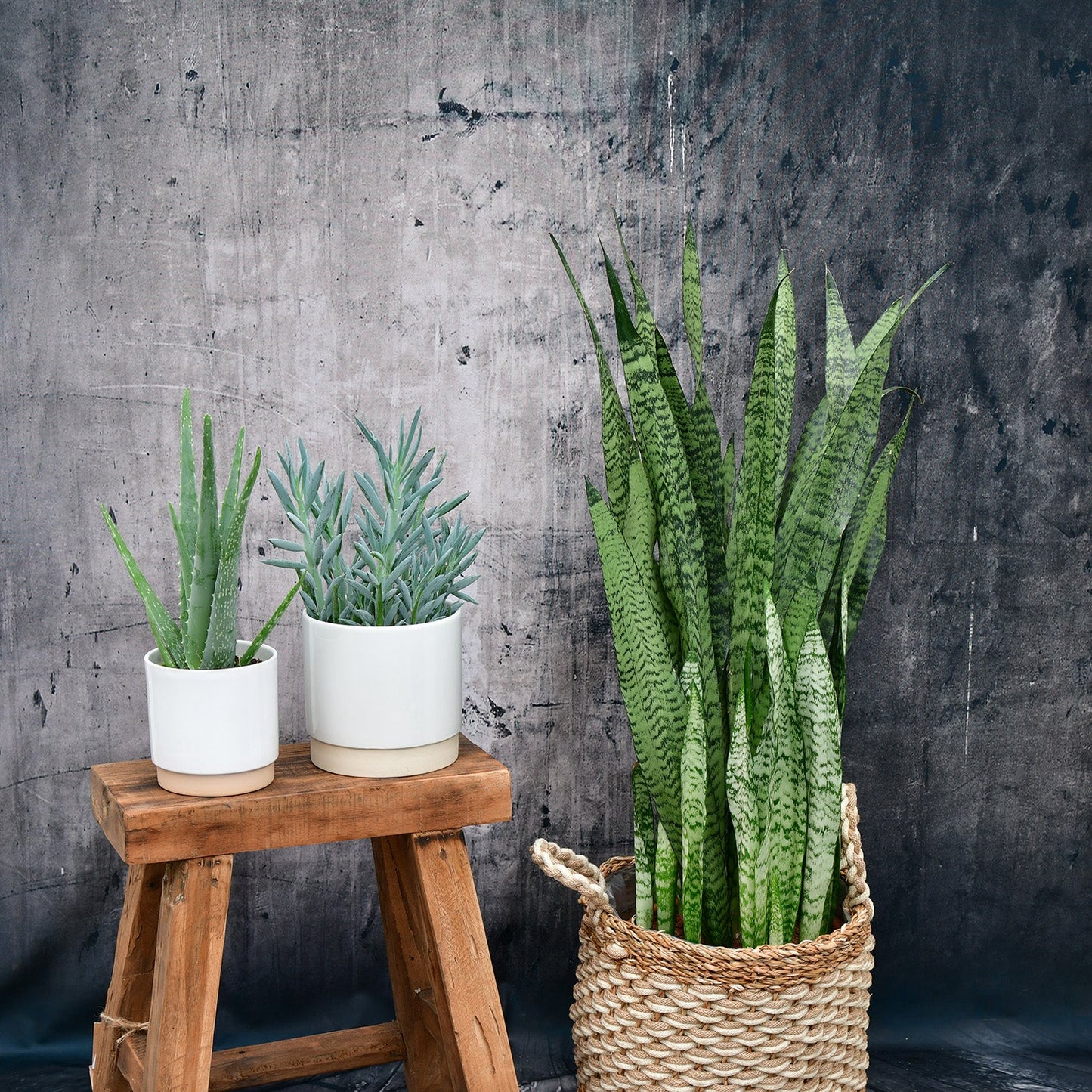 GRATIS Eno Keramik 16cm