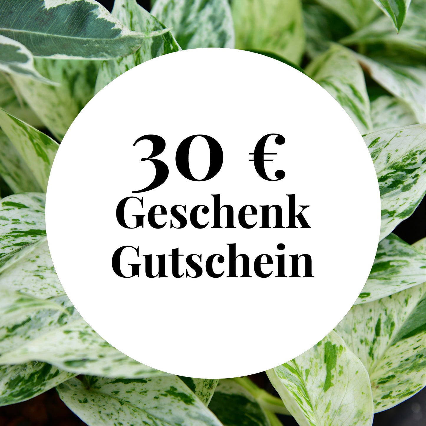 Green Me Up Geschenk Gutschein