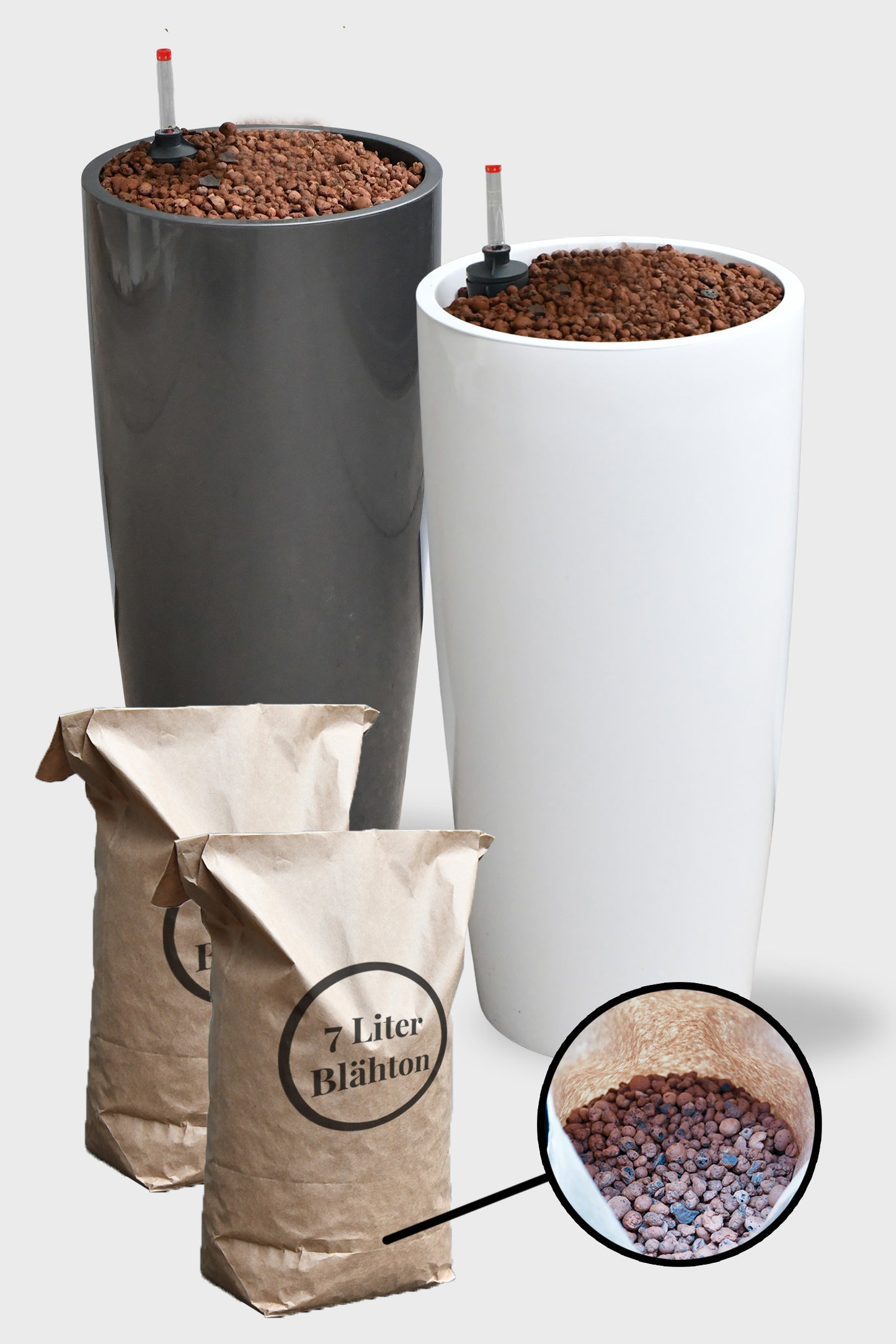 HYDRO SET XL BÜROPFLANZE Afrikanischer Feigenbaum mit klassischer Vase, 160-170cm