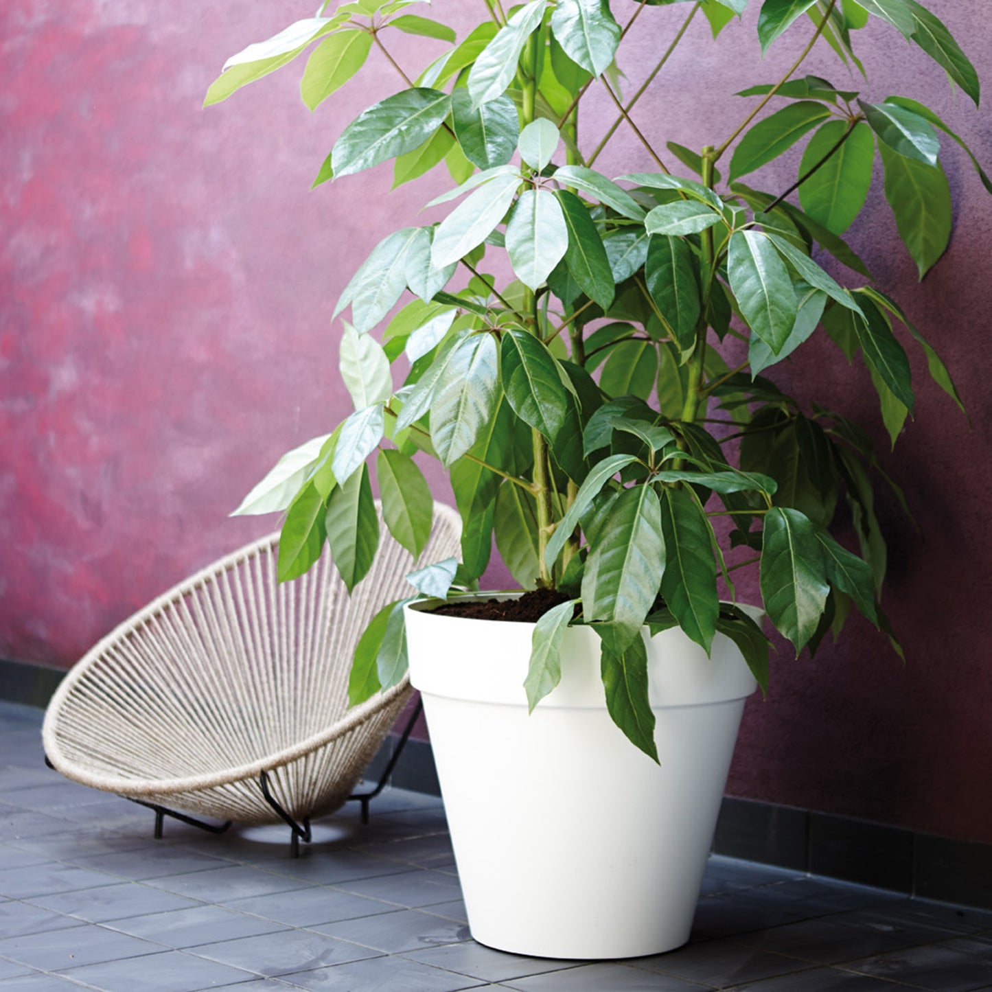 Elho Loft Pflanzkübel 30cm