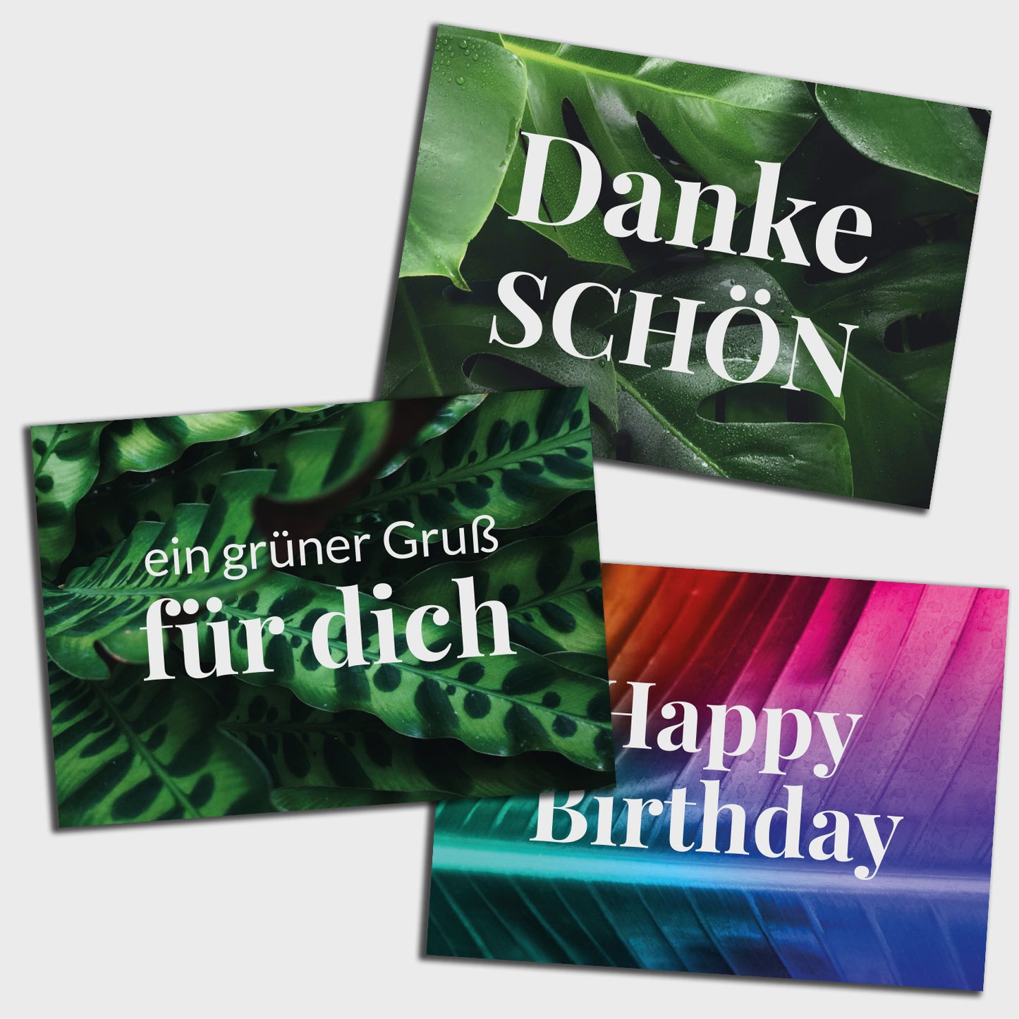 Geschenkset Glückskastanie