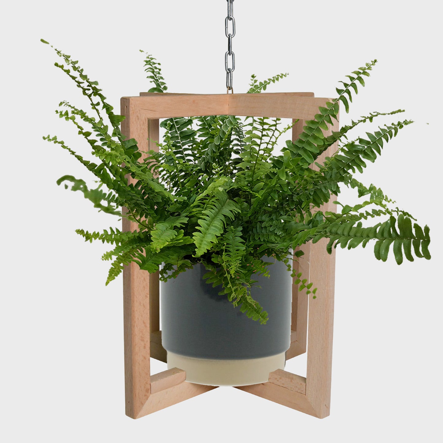 Quadro Set Schwertfarn
