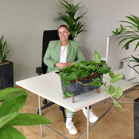 Glückliche Mitarbeiterin an Schreibtisch mit Pflanze
