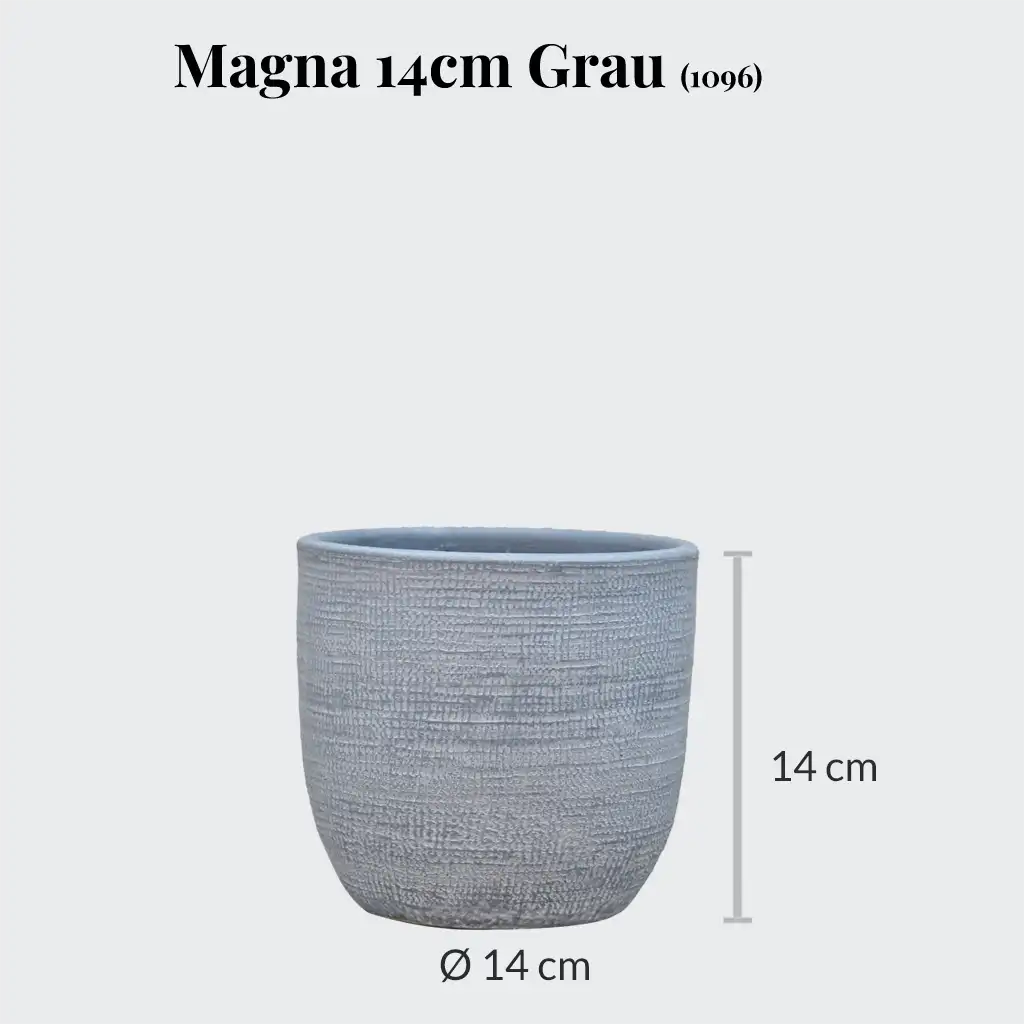 Magna 14cm