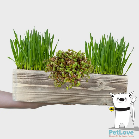 PetLove Holzkisten Soft Set für Katzen