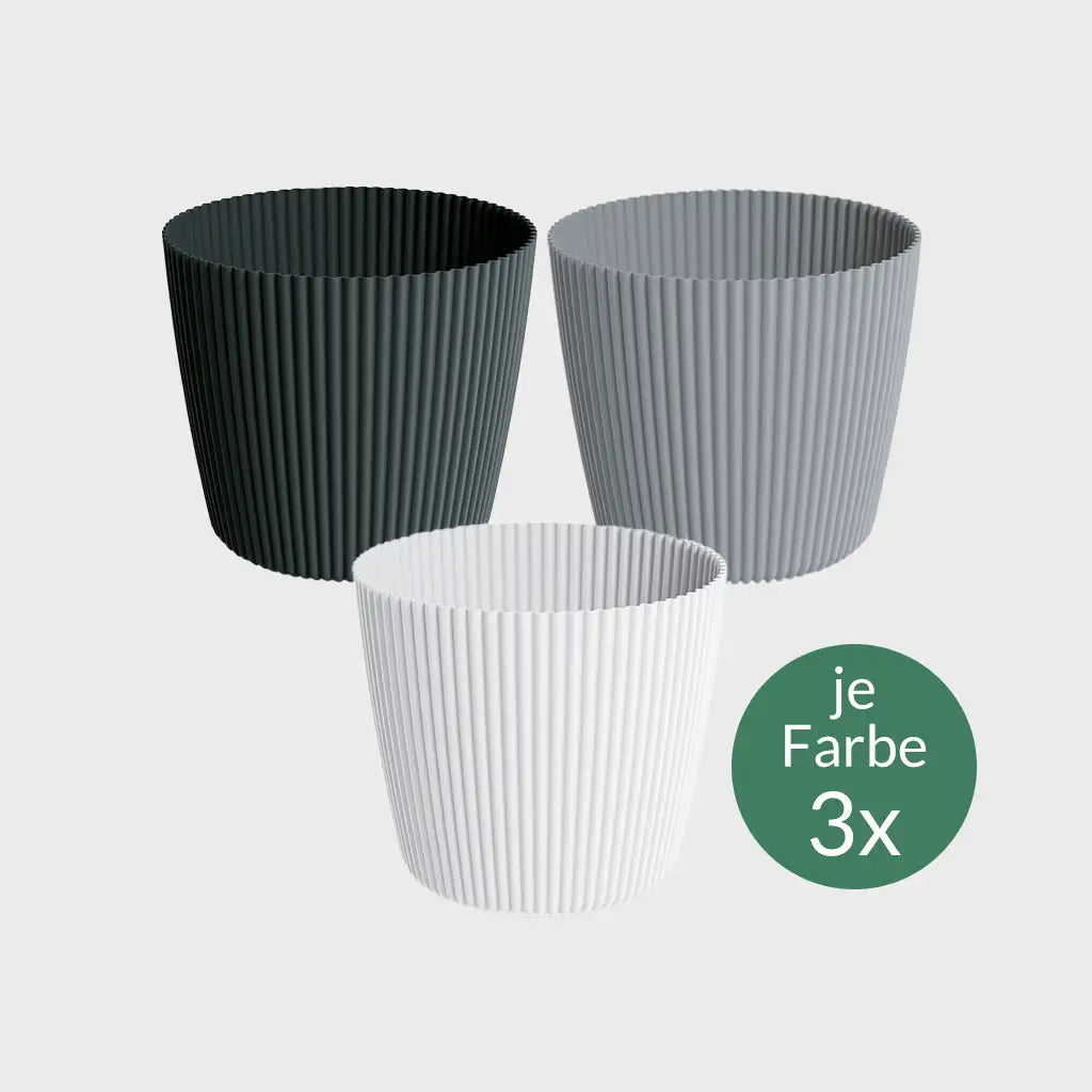 3er Set Milly 11cm