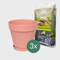 3er Set Elho Loft Pflanzkübel mit Untersetzer 20cm mit Erde