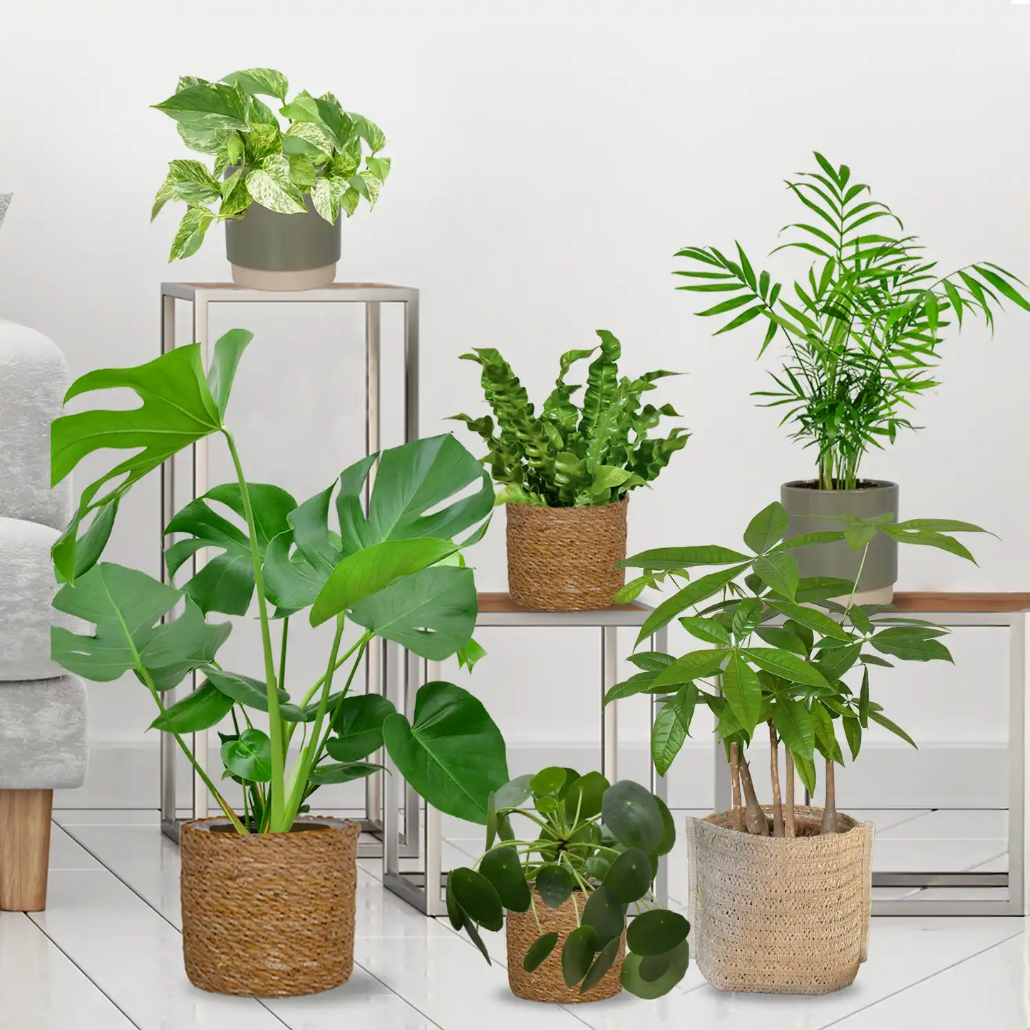 6er Box Grüne Erstausstattung