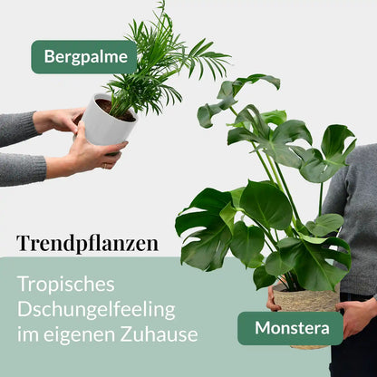 6er Box Grüne Erstausstattung