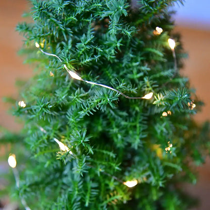 6er Box Tisch-Weihnachtsbäume