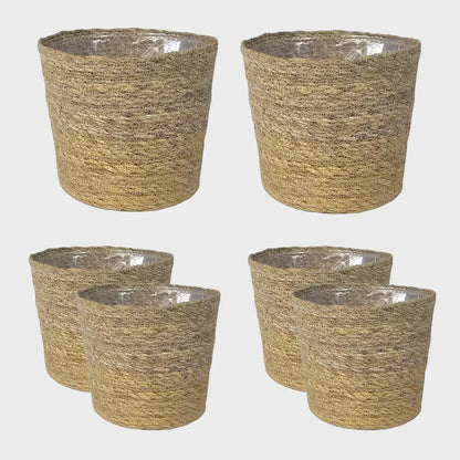6er Übertopfset 2L 4S Seegras