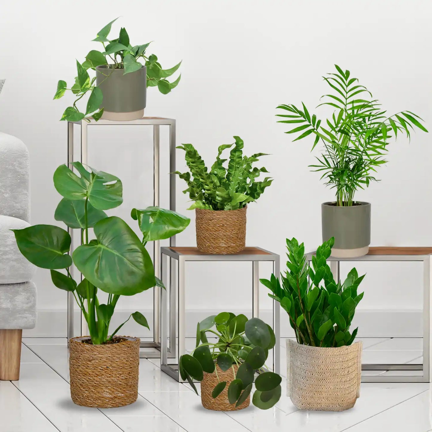 6er Box Grüne Erstausstattung