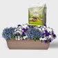 Balkonkasten Set Marine Sommerblumen Look