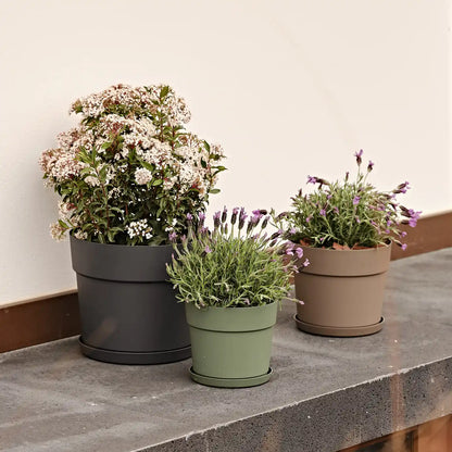 Bloom Pflanztopf 16cm