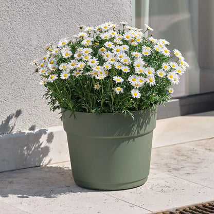 Bloom Pflanztopf 16cm